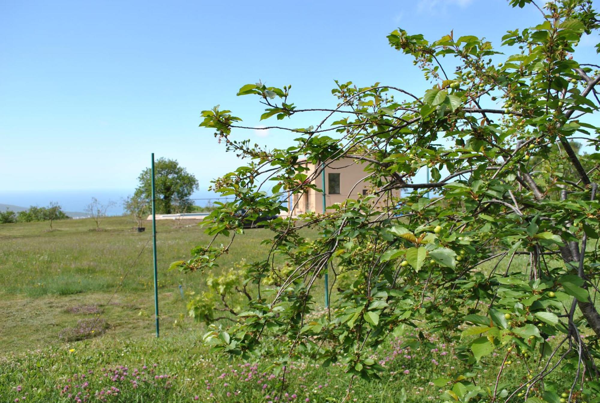 Country Home Dolac Bar Exterior photo
